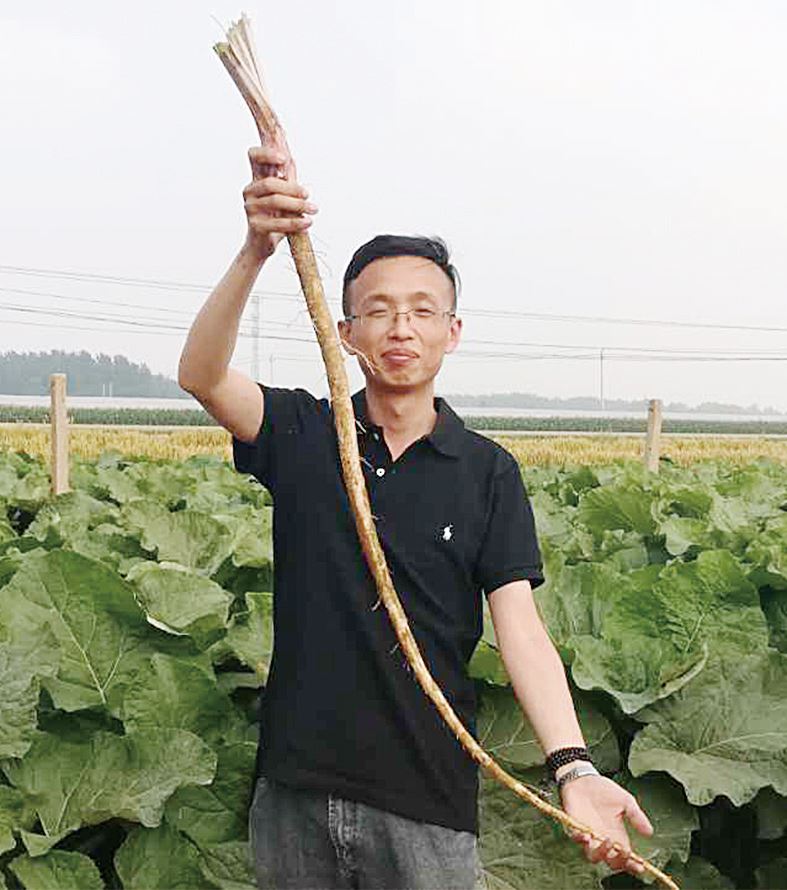 j9九游会集团有限公司内容图片展示