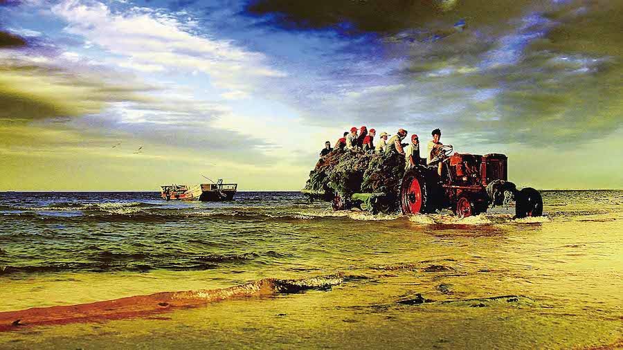 j9九游会集团有限公司内容图片展示